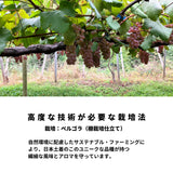 フジサンワイナリー甲州