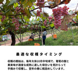フジサンワイナリー甲州