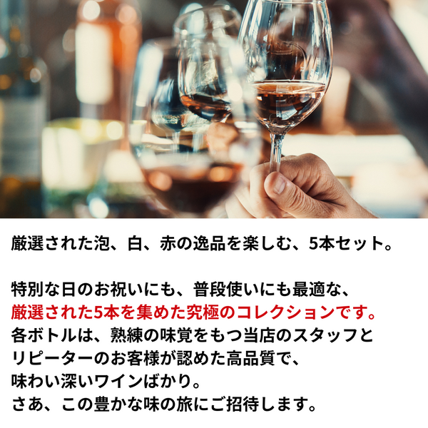 【5本セット】ハイクオリティ飲みごたえ抜群 泡白赤5本セット