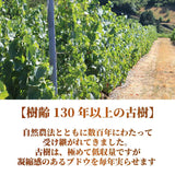 【予約受注用】ボージョレ・ヴィラージュ ヌーヴォー2025 Beaujolais Village Nouveau 2025