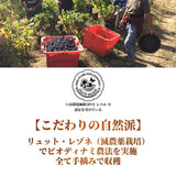 【予約受注用】ボージョレ・ヴィラージュ ヌーヴォー2025 Beaujolais Village Nouveau 2025