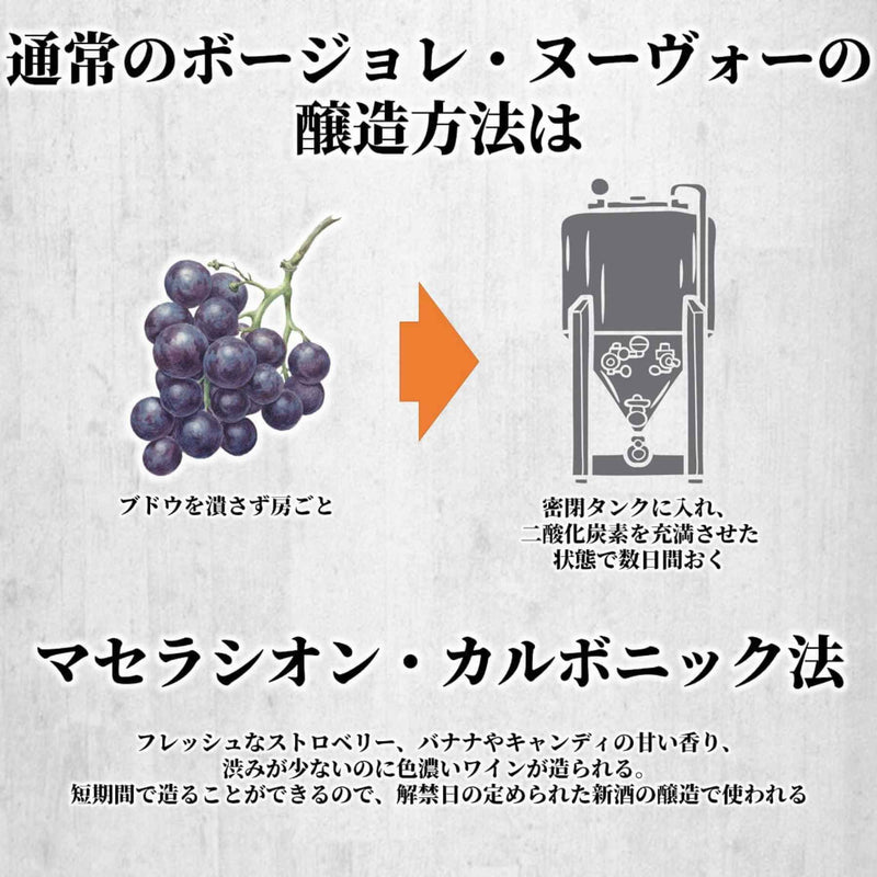 【予約受注用】ボージョレ・ヴィラージュ ヌーヴォー2025 Beaujolais Village Nouveau 2025