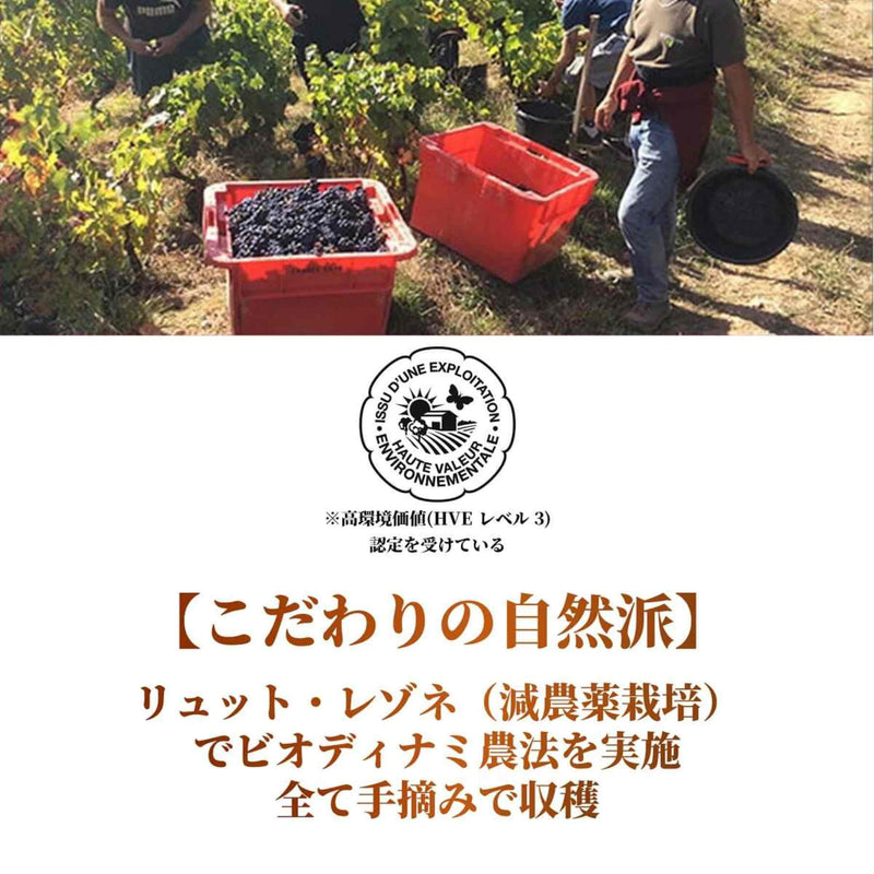 【予約受注用】ボージョレ・ヴィラージュ ヌーヴォー2025 Beaujolais Village Nouveau 2025