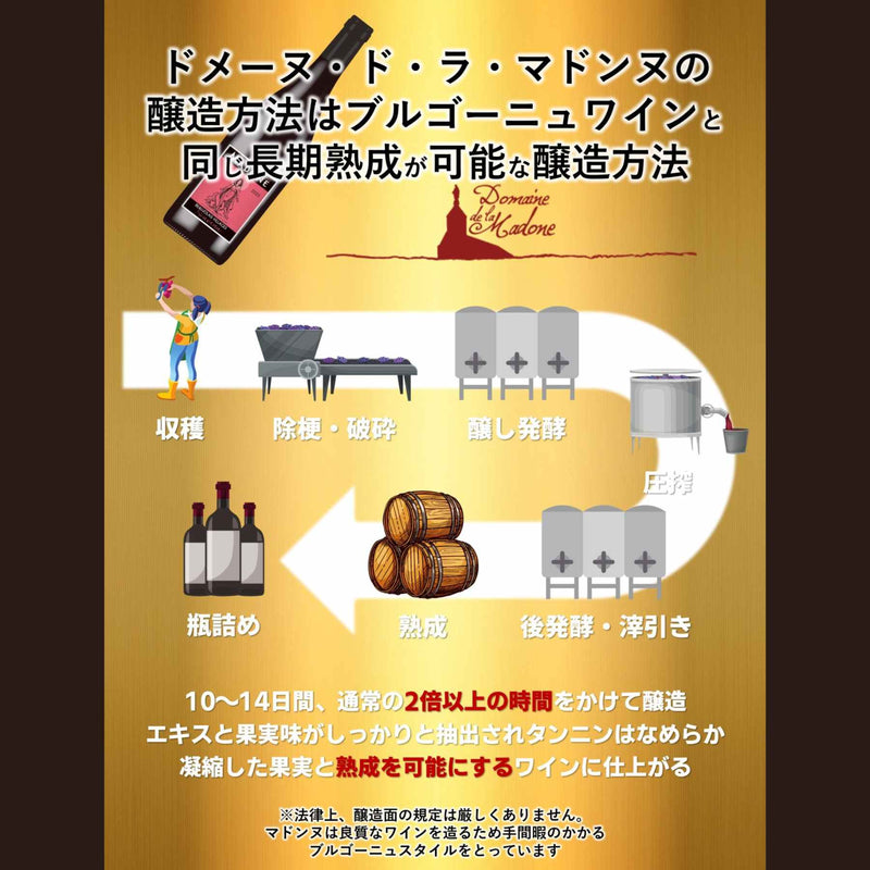 【予約受注用】ボージョレ・ヴィラージュ ヌーヴォー2025 Beaujolais Village Nouveau 2025