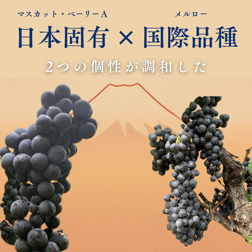 Shizen AKAFUJI Reserve（シゼン アカフジ リザーブ） – FujisanWinery