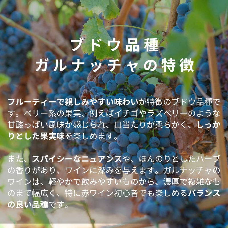 FujisanWinery Garnacha Old vines フジサンワイナリーガルナッチャ オールド ヴァインズ